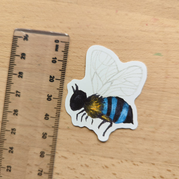 Blue Banded Bee Sticker