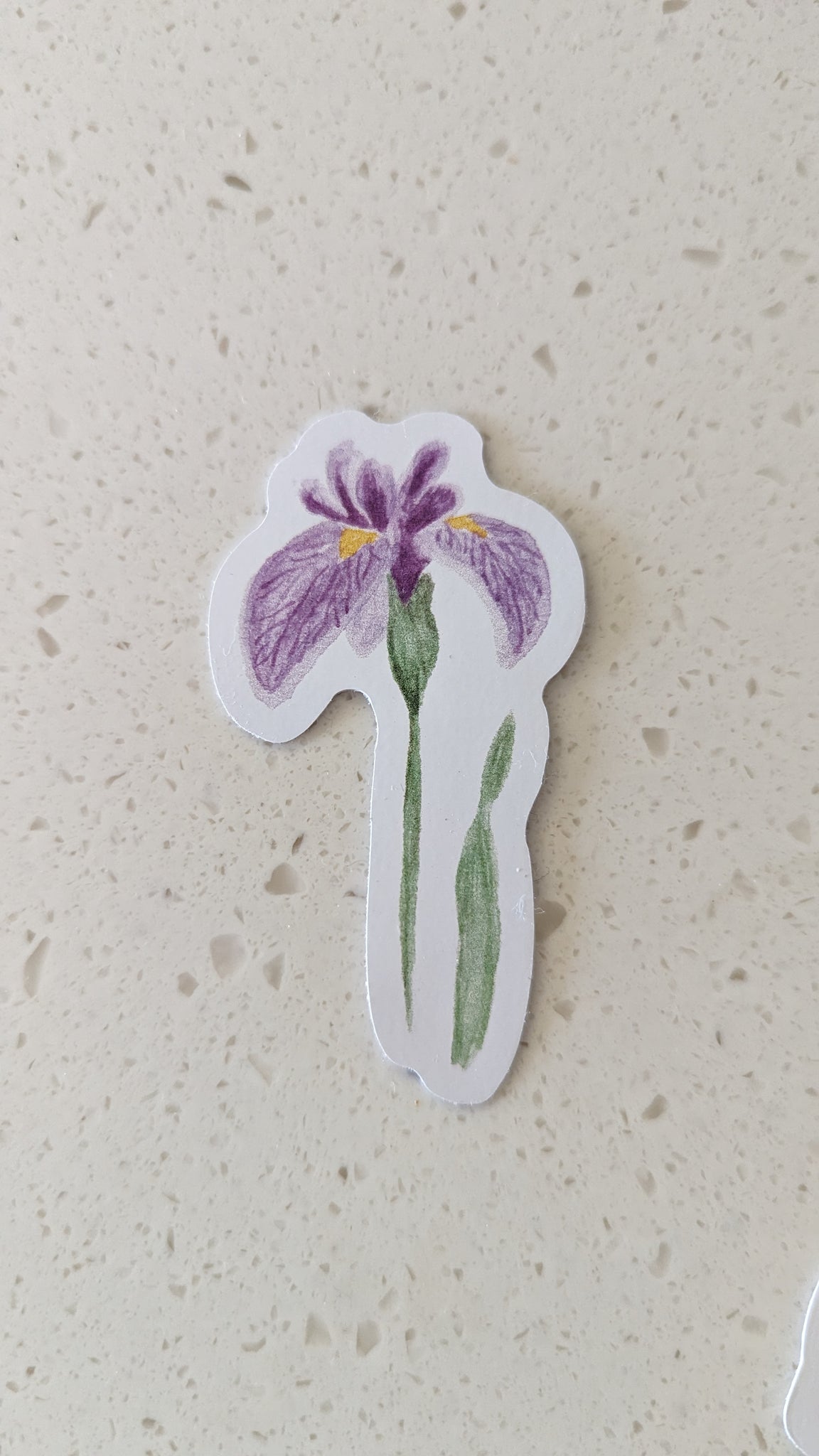 Iris Sticker