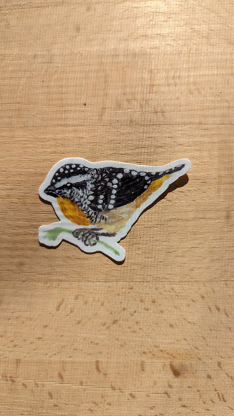 Spotted Pardalote Sticker