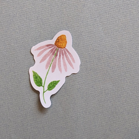 Echinacea Sticker